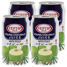 TEPTIP 椰子汁, 含椰果肉, 310ml, 4罐