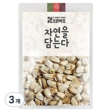조은약초 홍화씨, 600g, 3개