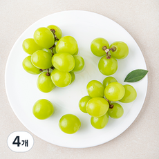 다조은 알알이 샤인머스켓, 500g, 4개