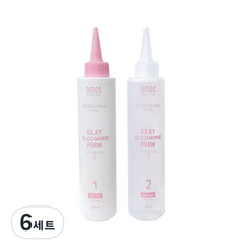 아모스 실키 블루밍 펌 파마약 1제 150ml + 2제 150ml, 6세트