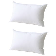 Arnold Palmer 雨傘牌 日本大和防螨抗菌枕, 2顆, 45 x 75cm