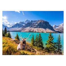 Huadada 紓壓拼圖, 1個, 1000件, 商品4