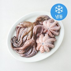 The더착한 문어 내장제거 세척 (냉동), 1개, 1kg(소, 200~300g)