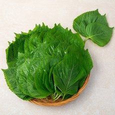 깻잎 국내산, 1kg, 1개