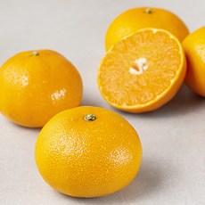 곰곰 당도선별 천혜향, 1kg, 1팩