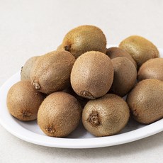 곰곰 국내산 참다래 그린키위(주스용), 1kg(미니), 1팩