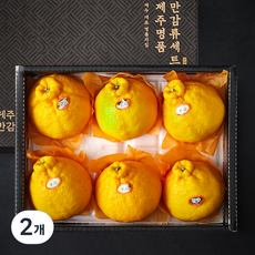귤탐 고당도 한라봉 선물세트, 2kg(4~8입), 2개