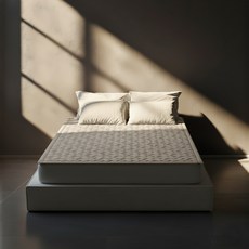 디센느 프리미엄 탄소 전기매트 HI-2025D, 베이지, 퀸(150 x 200 cm)