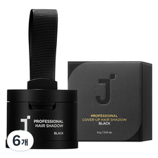 J'SOOP 專業遮瑕髮粉 4g, 黑色, 6個