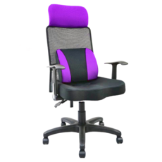 收納王妃 台製 舒適電腦椅 EV-02D, 紫色
