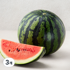 산지직송 당도선별 11brix, 4kg 미만, 3개