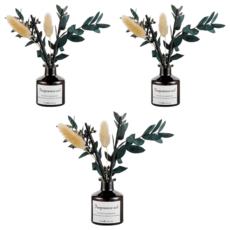 SC優選 植物精油 綠植乾花香薰擺件無火香薰, 茉莉清茶, 3瓶, 50ml