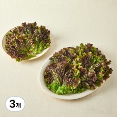 국내산 친환경 적상추, 200g, 3개
