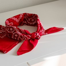 Good Good Shop 登山佩斯利印花方巾, 紅色, 3個