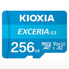 키오시아 EXCERIA 마이크로 메모리 카드 홈캠 블랙박스 CCTV SD LMEX3L256GG4, 256GB, 1개