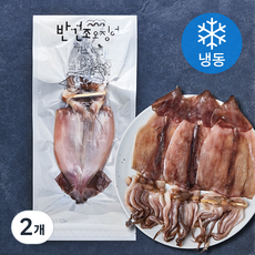 원양산 구룡포 해풍 반건조 오징어 (냉동), 550g(5미), 2개