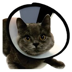 아리코 반려동물 긁음방지 깔대기 넥카라, 2개