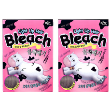eZn 라이트업 헤어블리치 블랙빼기 탈색제, 160g, 2개