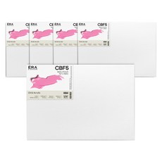 SHIELD 盾牌 ERA 帆布板 CBF型 5入, 棉布