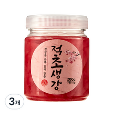이엔푸드 페트 적초생강, 3개, 200g