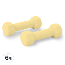 앳플리 LW 미용아령, 0.5kg, 6개