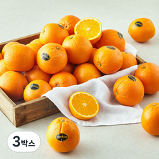 썬키스트 고당도 오렌지 소과, 4kg, 3박스