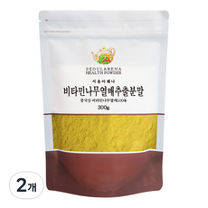 서울아레나 비타민나무열매 추출분말, 2개, 300g