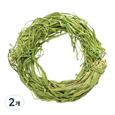 나물투데이 건궁채, 1kg, 2개