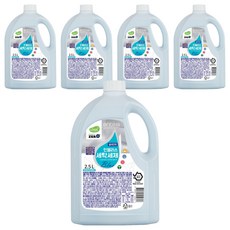 인블리스 실내건조 블루 세탁세제 본품, 2.5L, 5개