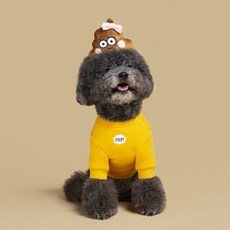 Oddstudio Pet 嗅聞玩具 11.5 x 4 x 10.5 cm, 努多, 1個