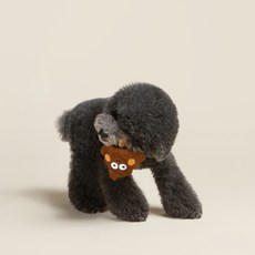 Oddstudio Pet 嗅聞玩具 11.5 x 4 x 10.5 cm, 達多, 1個