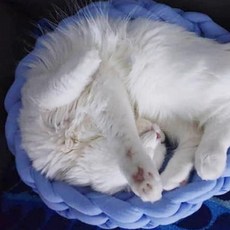 당감샵 고양이 자이언트 빅얀 니트 바구니, 블루, 1개