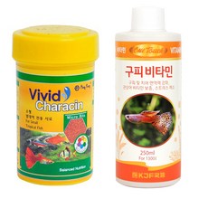 비비드 카라신 소형 열대어 전용 사료 소 + 아주 구피 비타민, 1세트