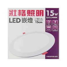 TRUNK 壯格 LED 崁燈 15W 自然光4000K 崁入孔15cm 適用電壓100-240V, 白色, 自然光 白色, 1個