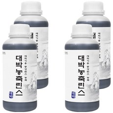 대박세제 업소용 식기세척기 전용 농축린스, 1L, 4개