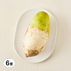 유기농 무, 1개입, 6개