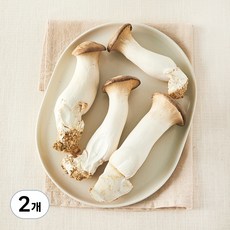 친환경 새송이버섯, 400g, 2개