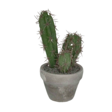 Meric Garden 中型仿真多肉療癒盆栽,仙人柱, 1個