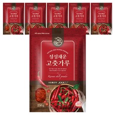 채운 정성채운 국산 고춧가루 보통매운맛, 250g, 6개
