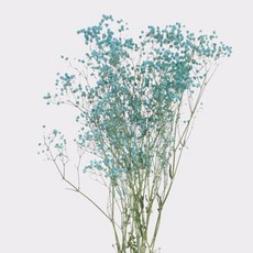 GAPANG 乾燥人造花, 藍色 05號