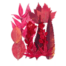 A-ONE 匯旺 2包 天然植物壓花 產品尺寸 14.5 x 10.5 CM, 小花包 丹楓迎秋 AA12