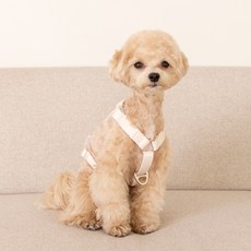 Yogisoo 狗狗 My Dog 防暴衝 H型胸背帶, 奶油色, 1個