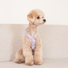 Yogisoo 狗狗 My Dog 防暴衝 H型胸背帶, 薰衣草紫, 1個