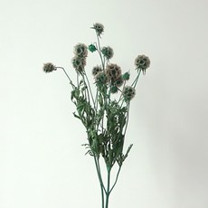 GAPANG 乾燥花 DRYB087, 藍色 15號