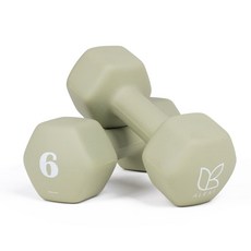 아리프 네오프렌 선인장 아령, 6kg, 2개