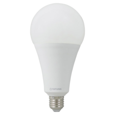 TATUNG 大同 LED燈泡 30W, 白光, 1個