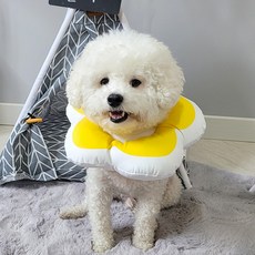 리스펫 반려동물 꽃개꽃냥 넥카라, 옐로우, 1개