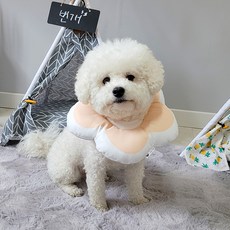 리스펫 반려동물 꽃개꽃냥 넥카라, 핑크, 1개