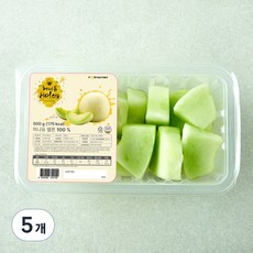 가족 허니듀 멜론, 5개, 500g