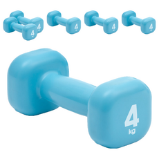 리복 트레이닝 사각 덤벨 블루 RAWT-11154, 4kg, 6개